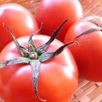 トマトの栄養価は加熱で減少?ジュースや缶詰も効果効能の成分は同じ?