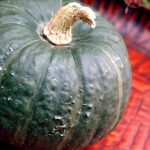 かぼちゃの栄養は子供の離乳食にぴったり?カロテン豊富で種や皮もすごい?